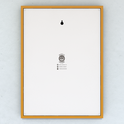 Cuadro Ayrton Senna 50 x 36 cm